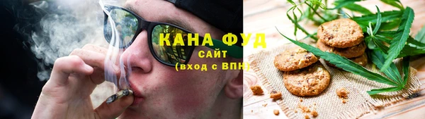 амф Дмитров