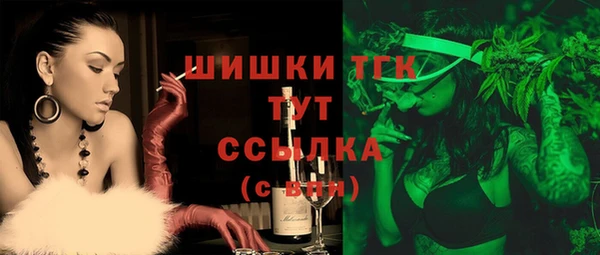 крисы Слюдянка