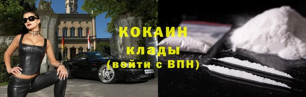 амф Дмитров