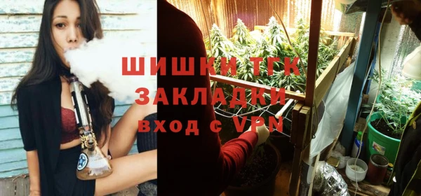 амф Дмитров