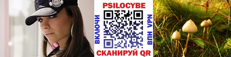 наркошоп  кракен tor  Галлюциногенные грибы Psilocybine cubensis  Таганрог 