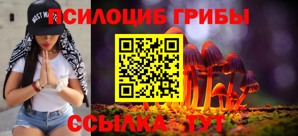 Таганрог  Галлюциногенные грибы Cubensis  Вход с VPN 